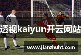 透视kaiyun开云网站